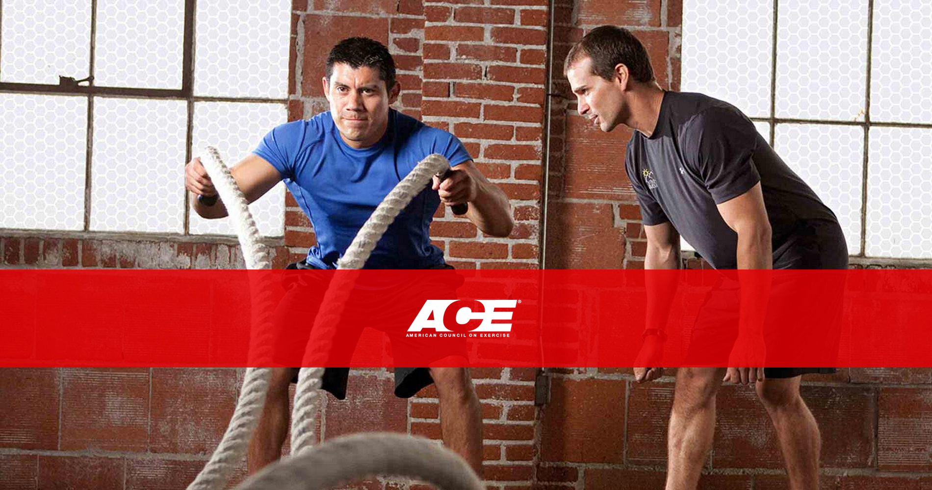 American Council on Exercise | ACE | ACE Fit